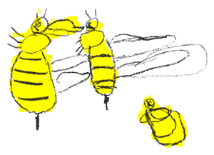 bees drawing